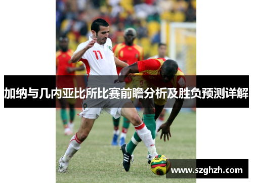 加纳与几内亚比所比赛前瞻分析及胜负预测详解