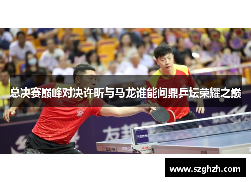 总决赛巅峰对决许昕与马龙谁能问鼎乒坛荣耀之巅